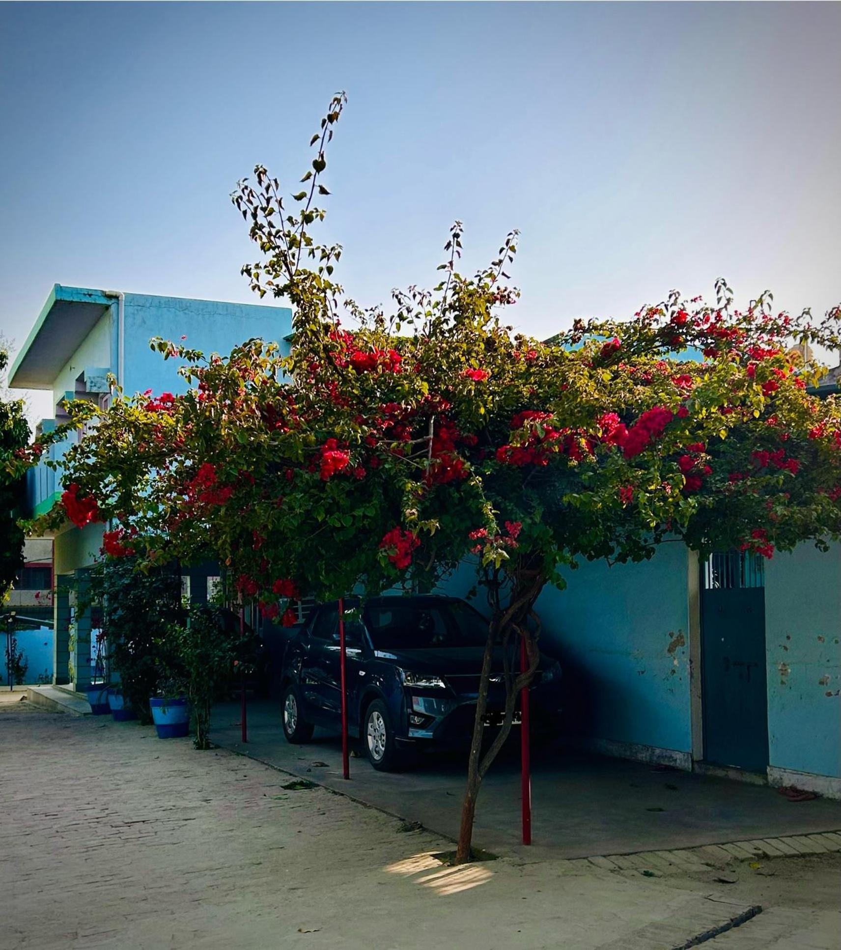 Gooseberry Garden Villa Ayodhya Buitenkant foto