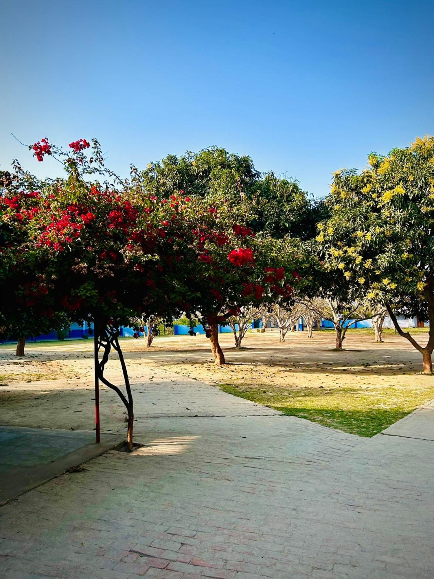 Gooseberry Garden Villa Ayodhya Buitenkant foto