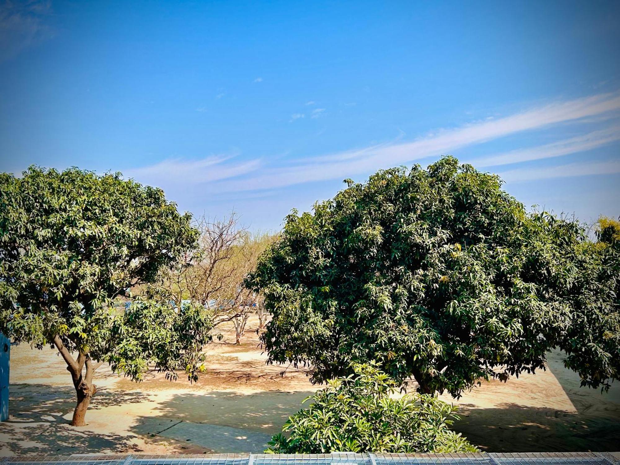 Gooseberry Garden Villa Ayodhya Buitenkant foto