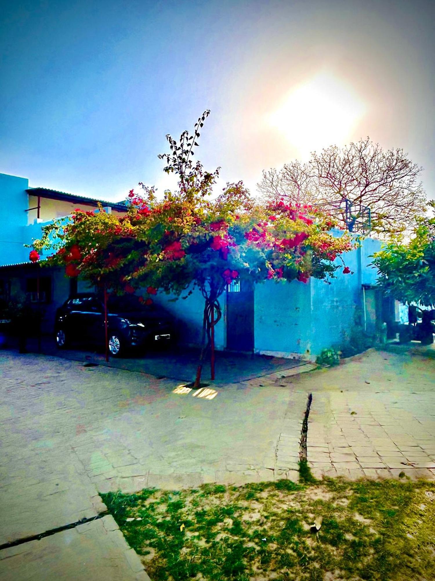 Gooseberry Garden Villa Ayodhya Buitenkant foto