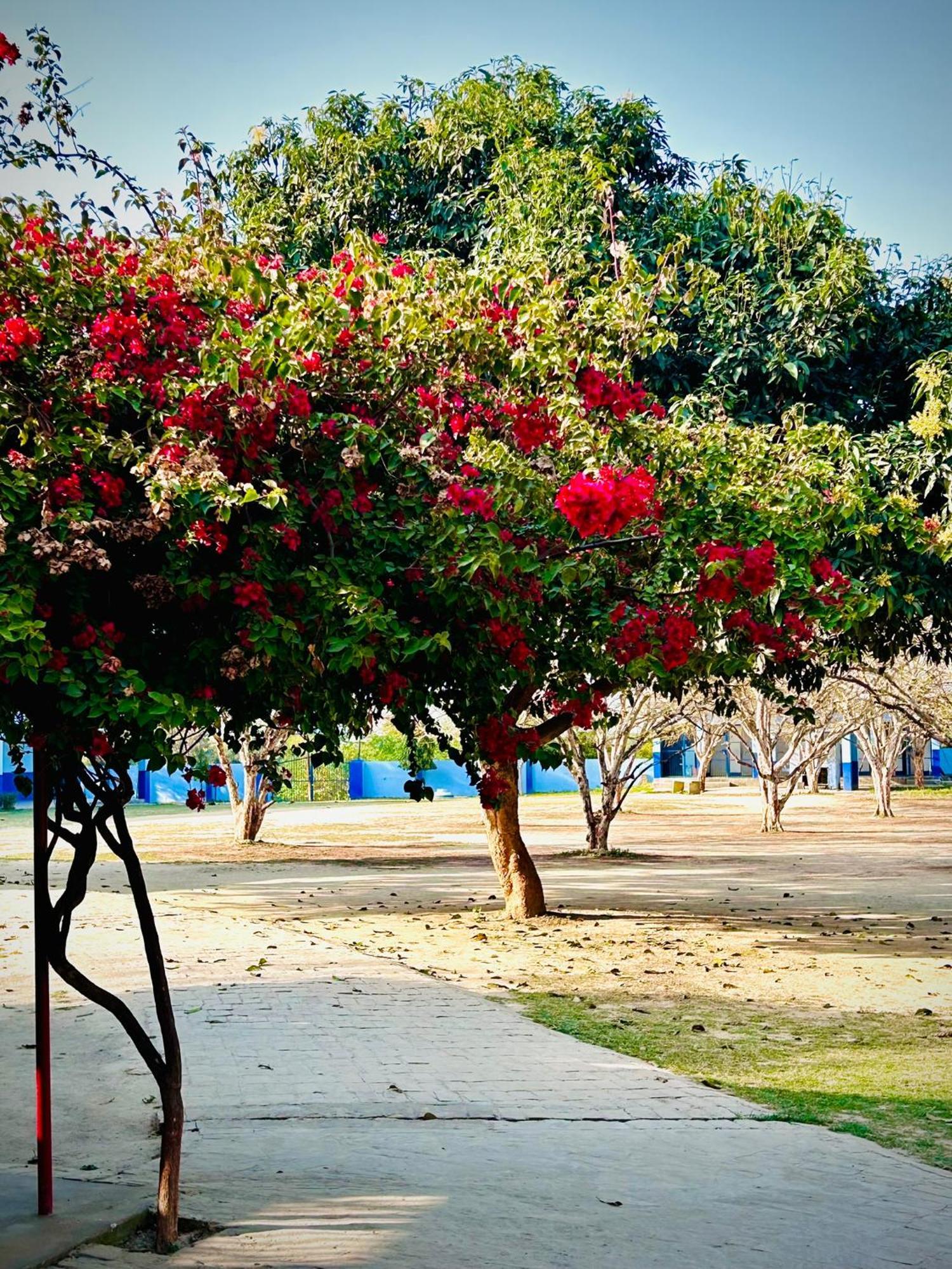 Gooseberry Garden Villa Ayodhya Buitenkant foto
